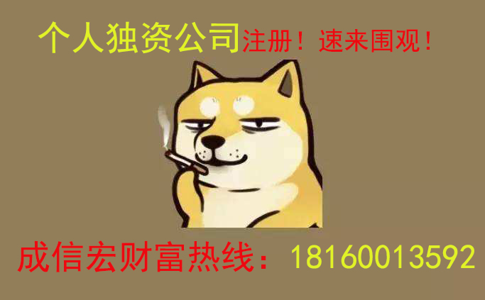 獨(dú)資公司注冊流程