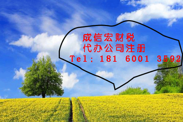 分公司注冊(cè)名稱(chēng)的要求